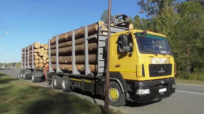 В Микашевичах задержали грузовик, перевозивший «левую» древесину